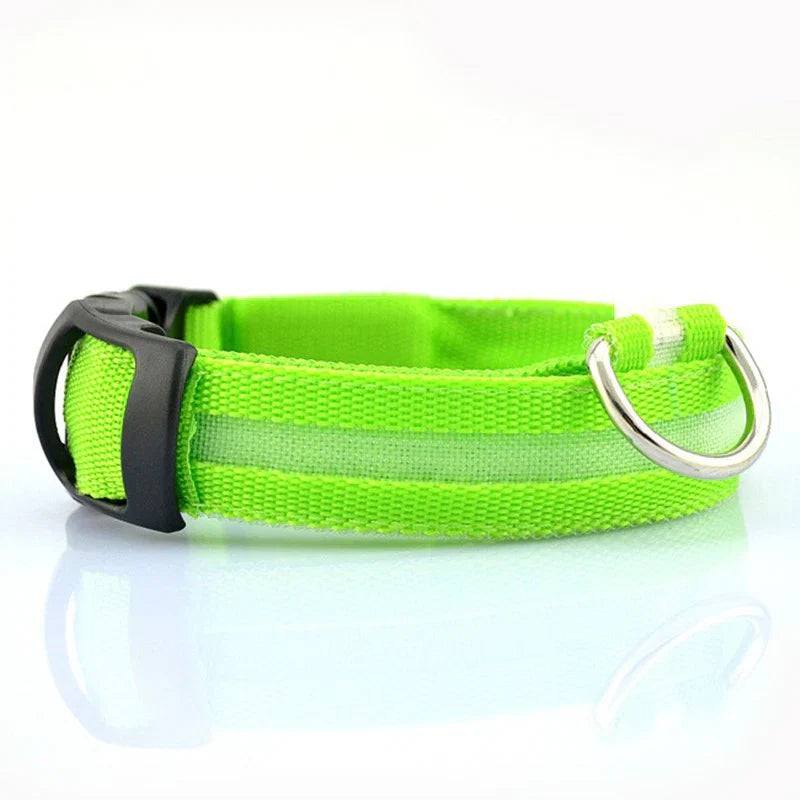 Glow In The Dark Collar - Keep Your Pet Safe and Seen After Dark - Tim Ecommerce Specialist